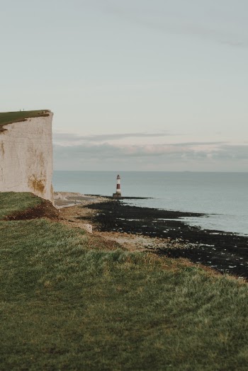 Scenic View Of Seashore During Daytime
