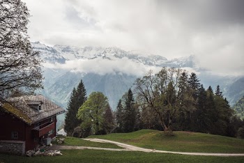 Scenic View Of Snow Capped Mountains