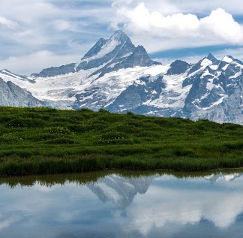 Scenic View Of Snow Capped Mountains