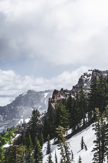 Scenic View Of Snow Capped Mountains