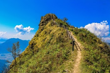 Scenic View of the Mountain