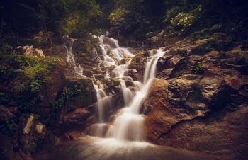 Scenic View of Waterfall
