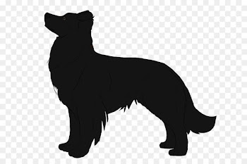 Schipperke Puppy Rally obedience Dog breed Obedience training - smitten frame 