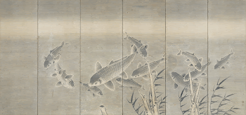 school of carp swimming among seaweed; | Free Photo - rawpixel