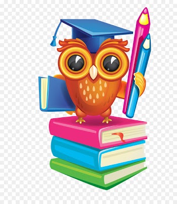 School Picture frame Clip art - Academic success Owl 