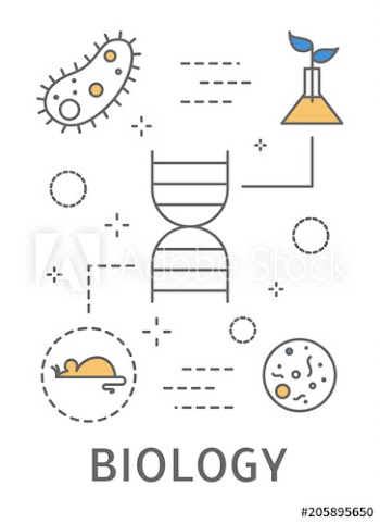 Science areas set