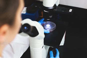 Science Examining Magnifiers
