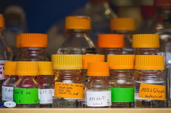 Science Lab Chemical Bottles