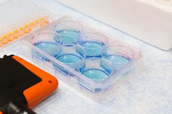 Science Microscope Slides