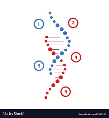 Science template wallpaper or banner with a dna vector image