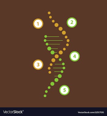 Science template wallpaper or banner with a dna vector image