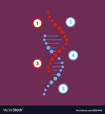 Science template wallpaper or banner with a dna vector image