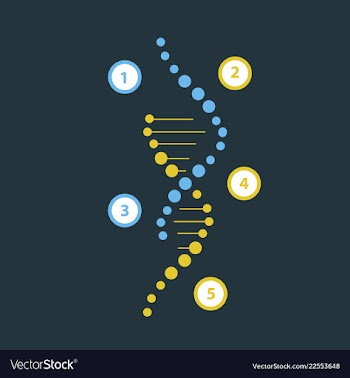 Science template wallpaper or banner with a dna vector image
