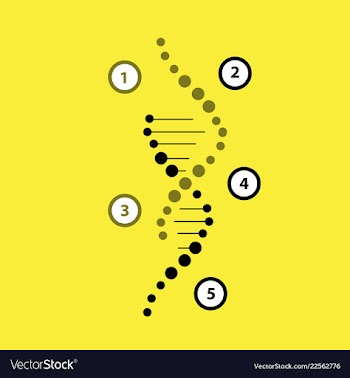 Science template wallpaper or banner with a dna vector image
