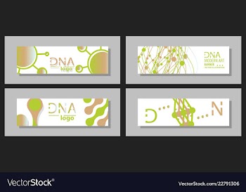 Scientific brochure design template flyer layout vector image