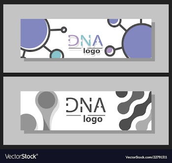 Scientific brochure design template flyer layout vector image