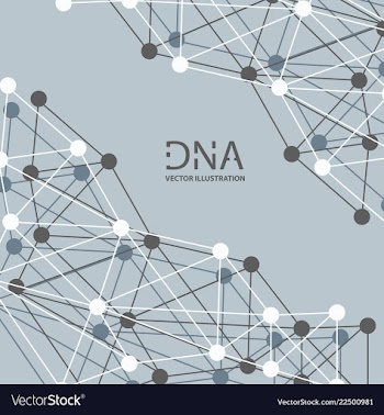 Scientific genetic engineering and biotechnology vector image