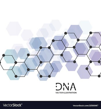 Scientific genetic engineering and biotechnology vector image