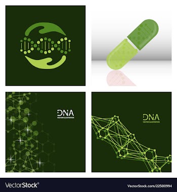 Scientific genetic engineering and biotechnology vector image