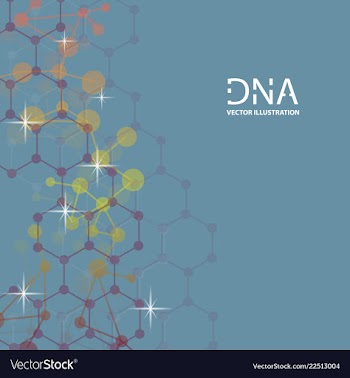 Scientific genetic engineering and biotechnology vector image