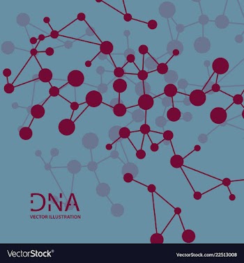 Scientific genetic engineering and biotechnology vector image