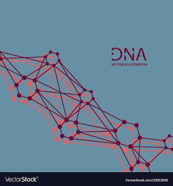 Scientific genetic engineering and biotechnology vector image