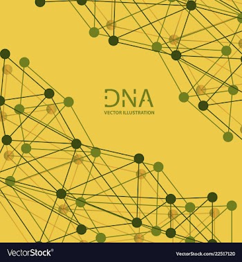 Scientific genetic engineering and biotechnology vector image