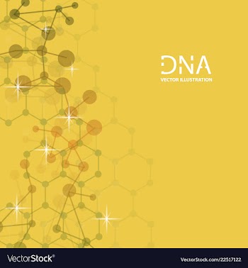Scientific genetic engineering and biotechnology vector image