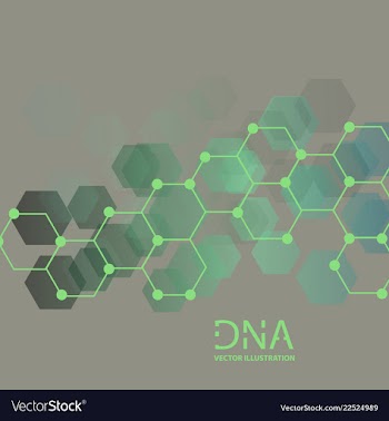 Scientific genetic engineering and biotechnology vector image
