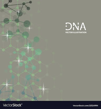 Scientific genetic engineering and biotechnology vector image