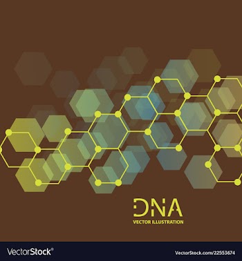 Scientific genetic engineering and biotechnology vector image