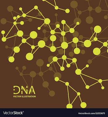 Scientific genetic engineering and biotechnology vector image