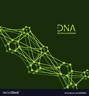 Scientific genetic engineering and biotechnology vector image