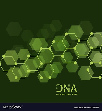 Scientific genetic engineering and biotechnology vector image