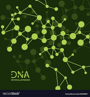 Scientific genetic engineering and biotechnology vector image