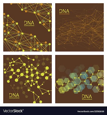 Scientific genetic engineering and biotechnology vector image