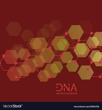 Scientific genetic engineering and biotechnology vector image