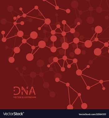 Scientific genetic engineering and biotechnology vector image