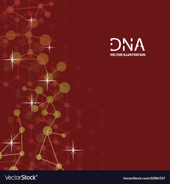 Scientific genetic engineering and biotechnology vector image
