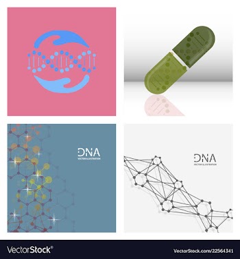 Scientific genetic engineering and biotechnology vector image