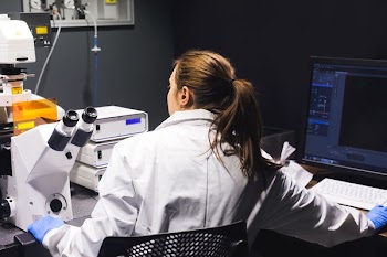Scientist At Work Researching