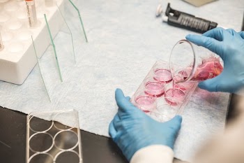 Scientist Pouring Red Liquid