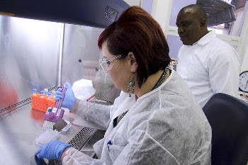 Scientist testing with virus through test | Free Photo - rawpixel