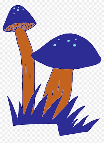 Scientists Have Used Carbon Dating And Archaeological - Edible Mushroom