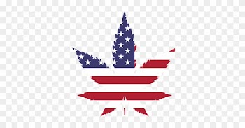 Scientists In U - American Flag Pot Leaf