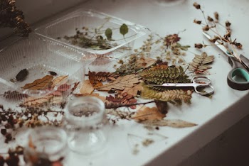 Scissors And Dry Leaves on White Table