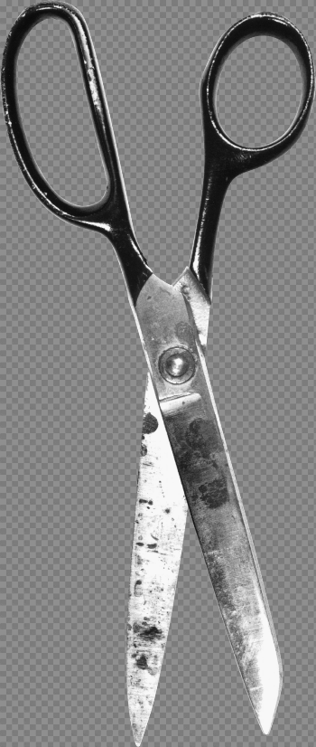 Scissors Png Image