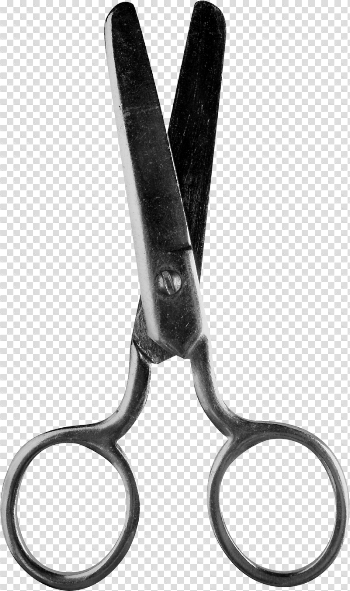 Scissors Png Image
