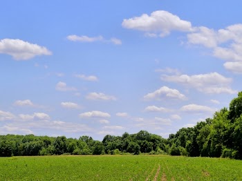 scn_lds_001.jpg