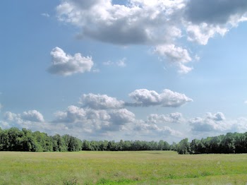 scn_prk_014.jpg